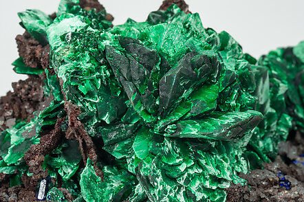 Malachite after Azurite on Goethite. 