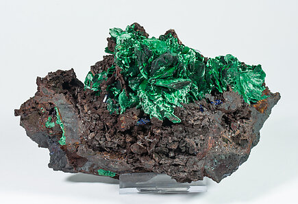 Malachite after Azurite on Goethite.