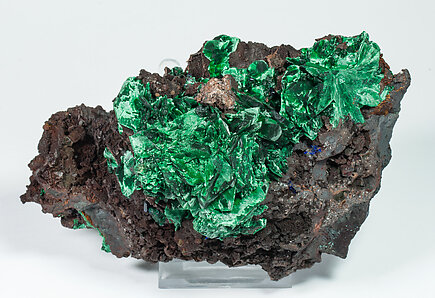 Malachite after Azurite on Goethite. Top