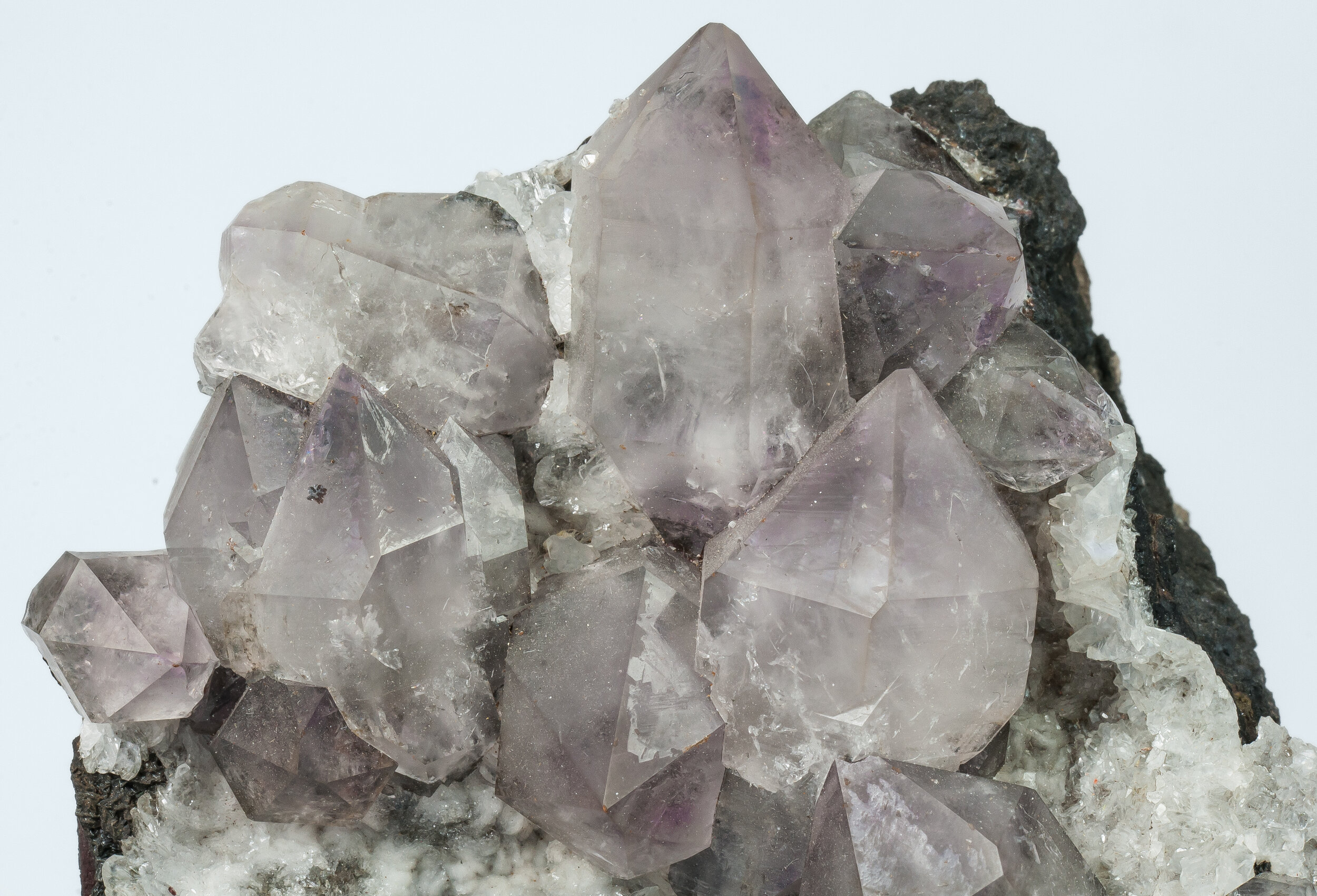 specimens/s_imagesAO7/Quartz_amethyst-NFR66AO7d.jpg