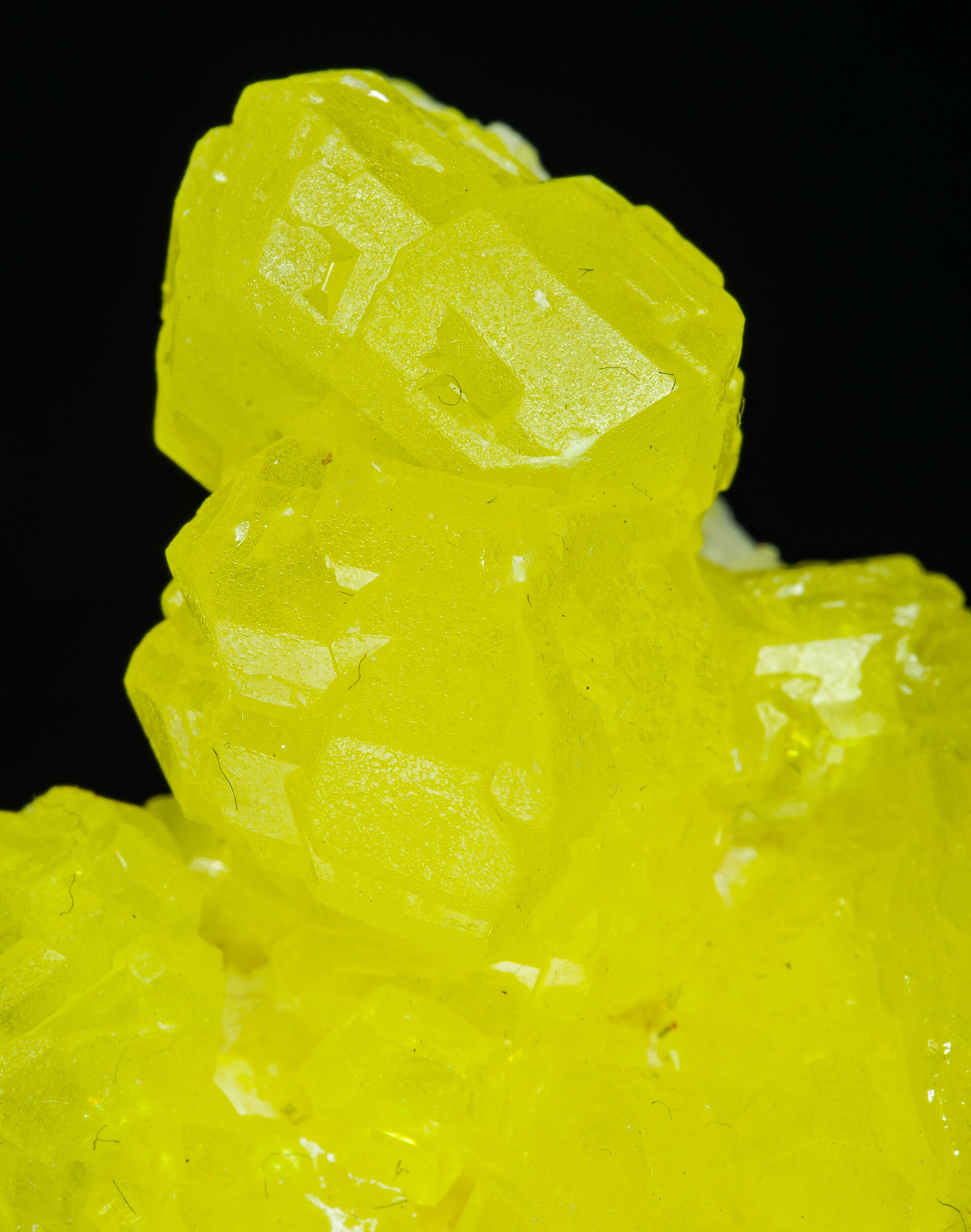 specimens/s_imagesAO7/Sulphur-BFM67AO7d.jpg