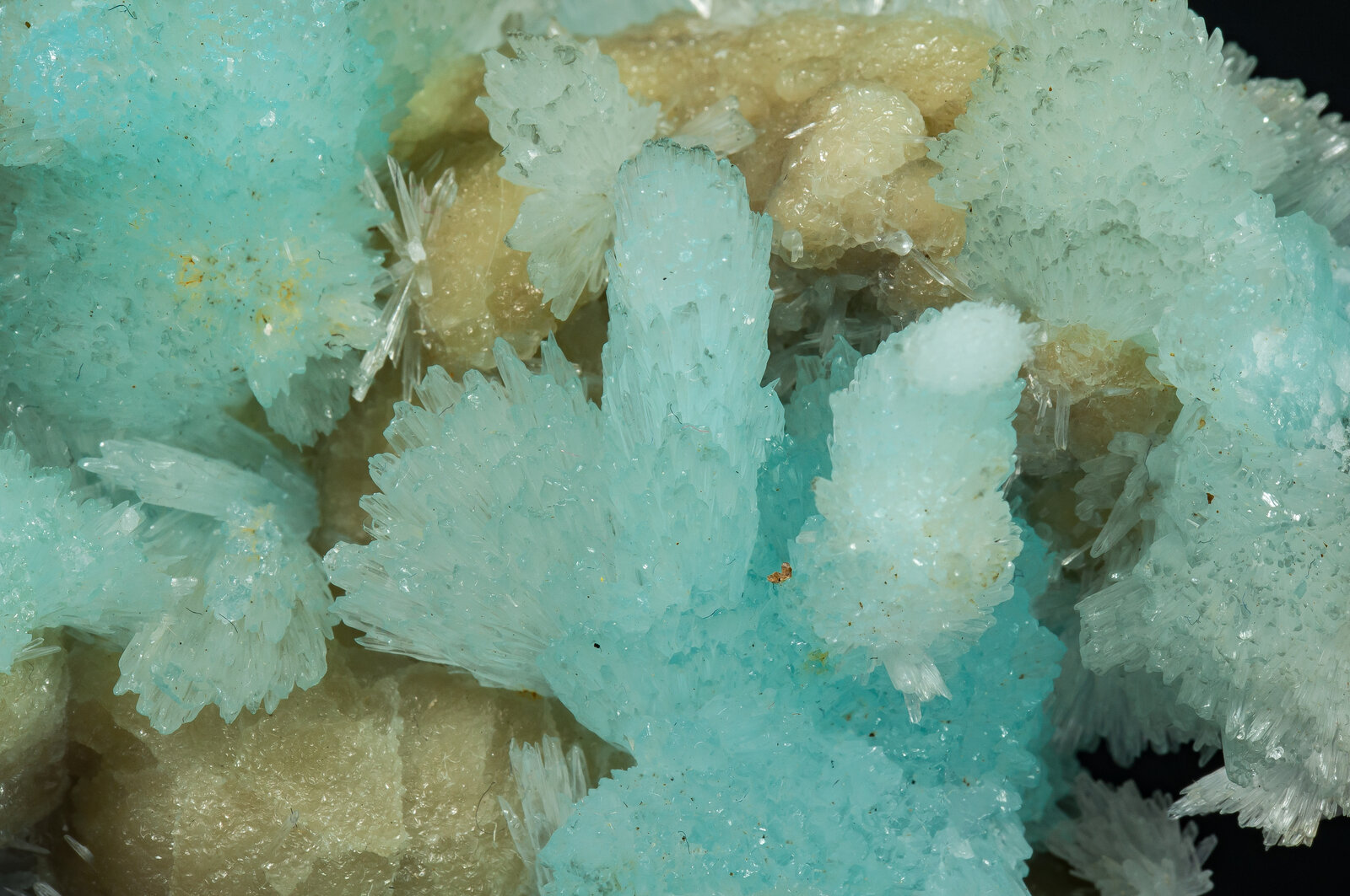 specimens/s_imagesAO8/Aragonite-TLM97AO8d.jpg