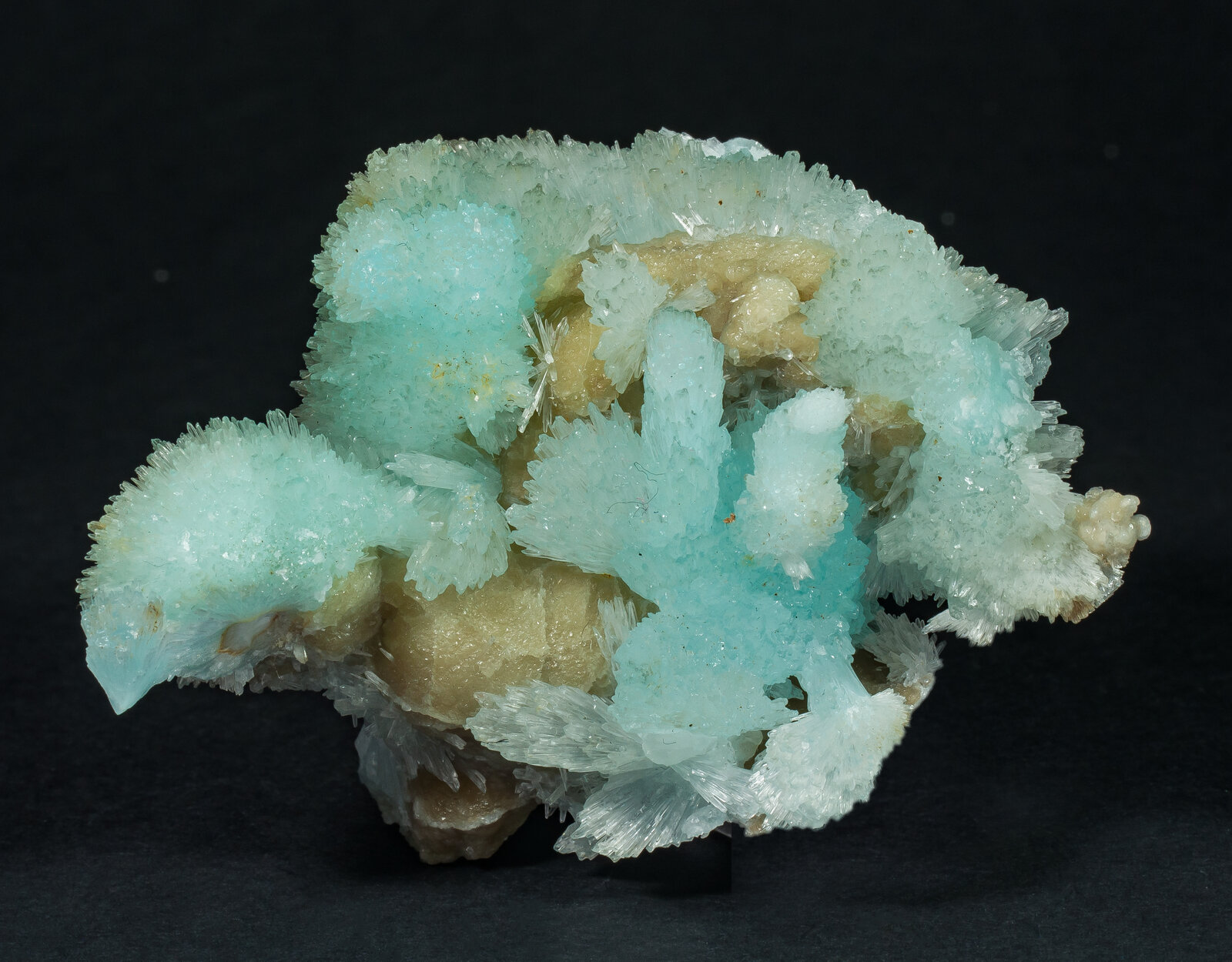 specimens/s_imagesAO8/Aragonite-TLM97AO8f.jpg