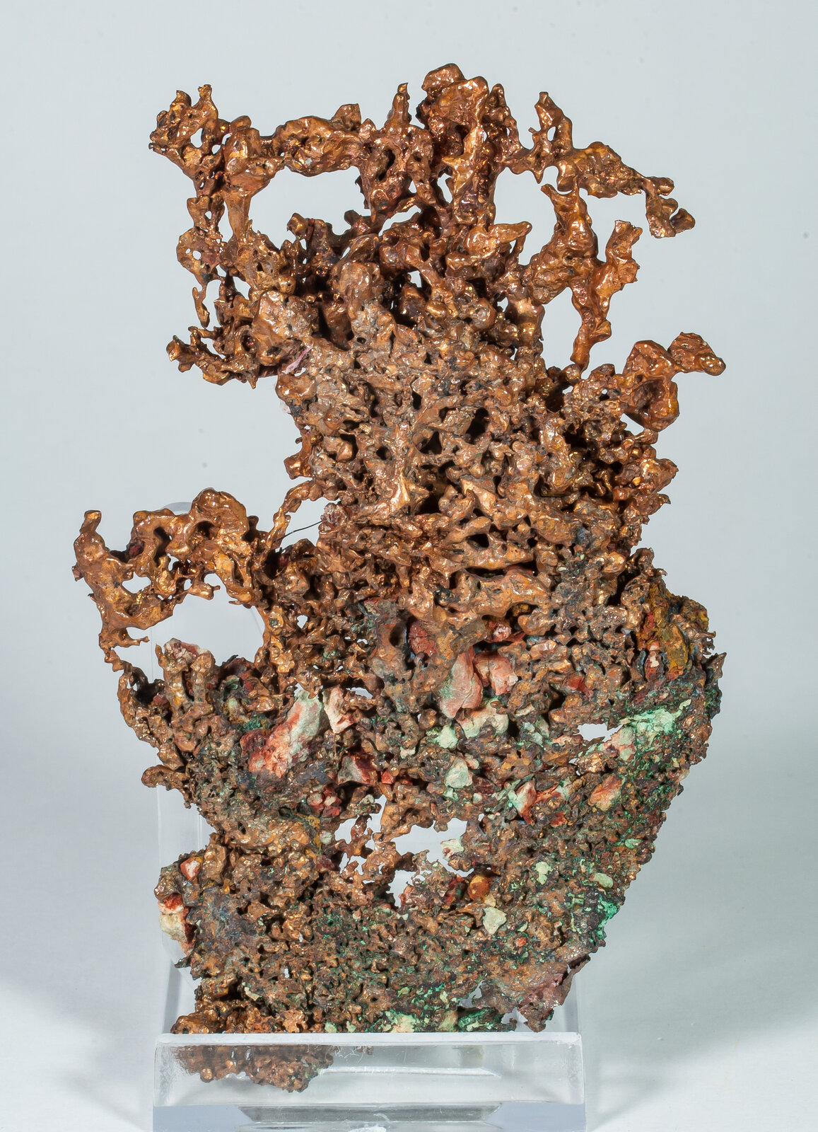 specimens/s_imagesAO8/Copper-NRF46AO8r.jpg
