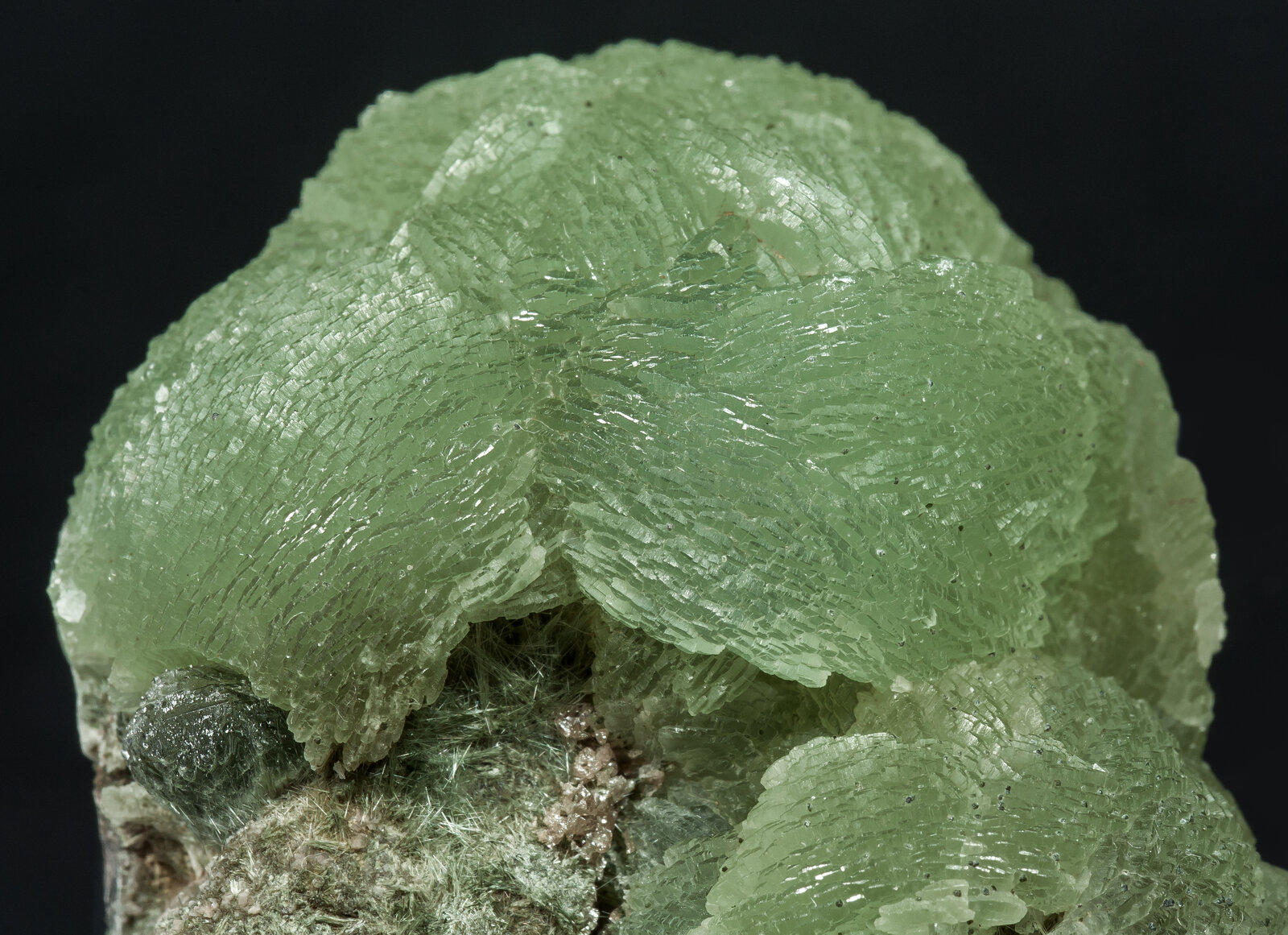 specimens/s_imagesAO8/Prehnite-NFM56AO8d.jpg