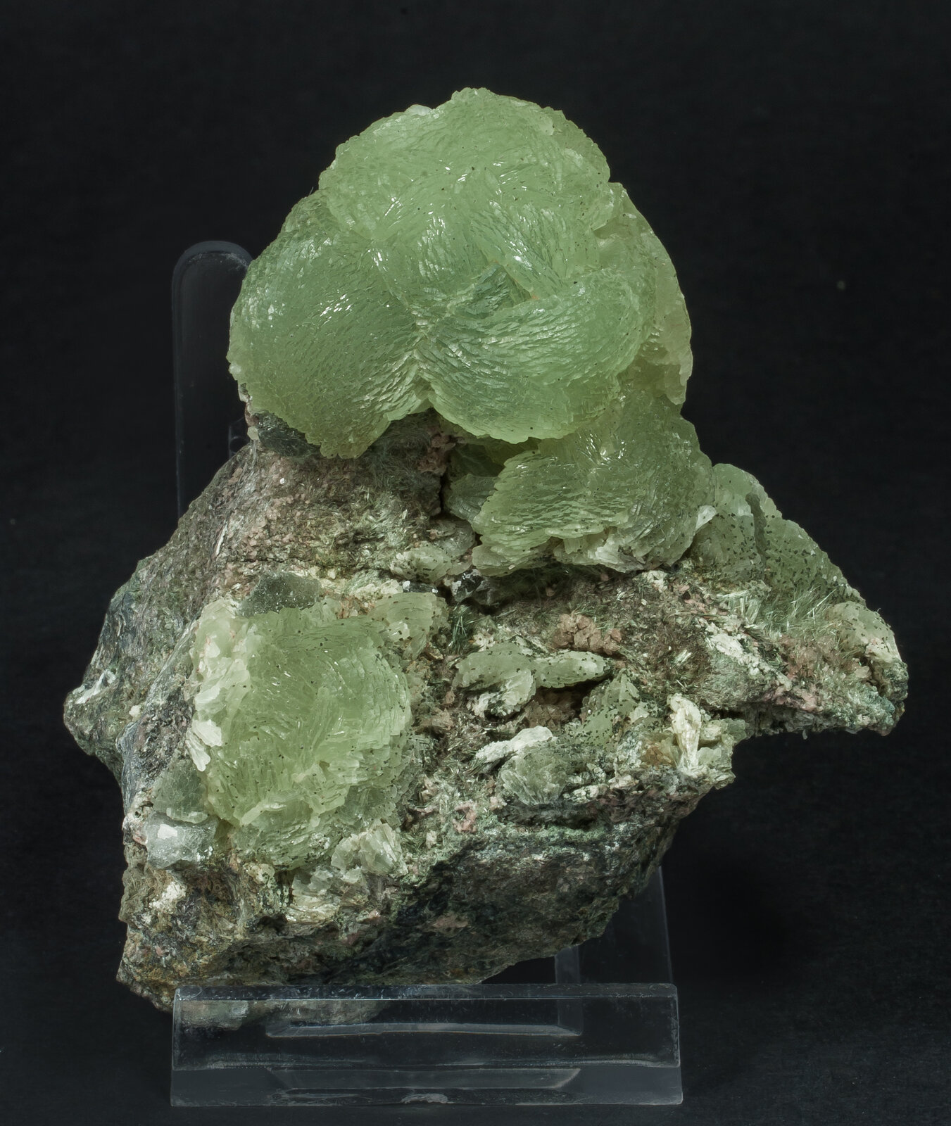 specimens/s_imagesAO8/Prehnite-NFM56AO8f.jpg