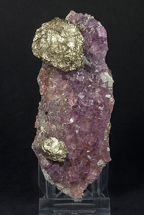 Pyrite on Fluorite. Side