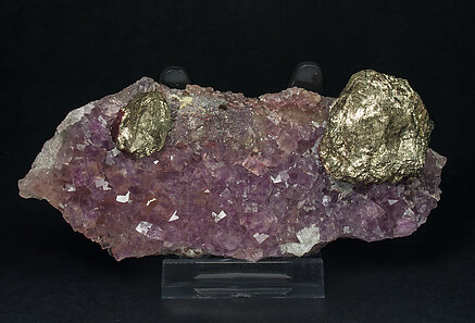 Pyrite on Fluorite. Front