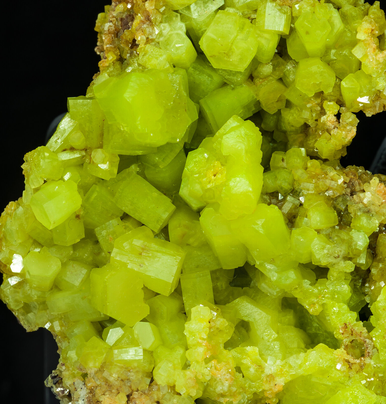 specimens/s_imagesAO8/Pyromorphite-BRM66AO8d.jpg