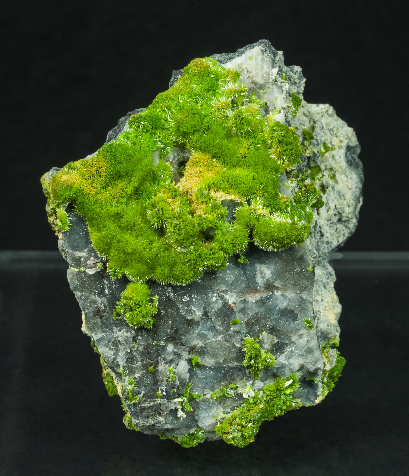 specimens/s_imagesAO8/Pyromorphite-TFP86AO8f.jpg