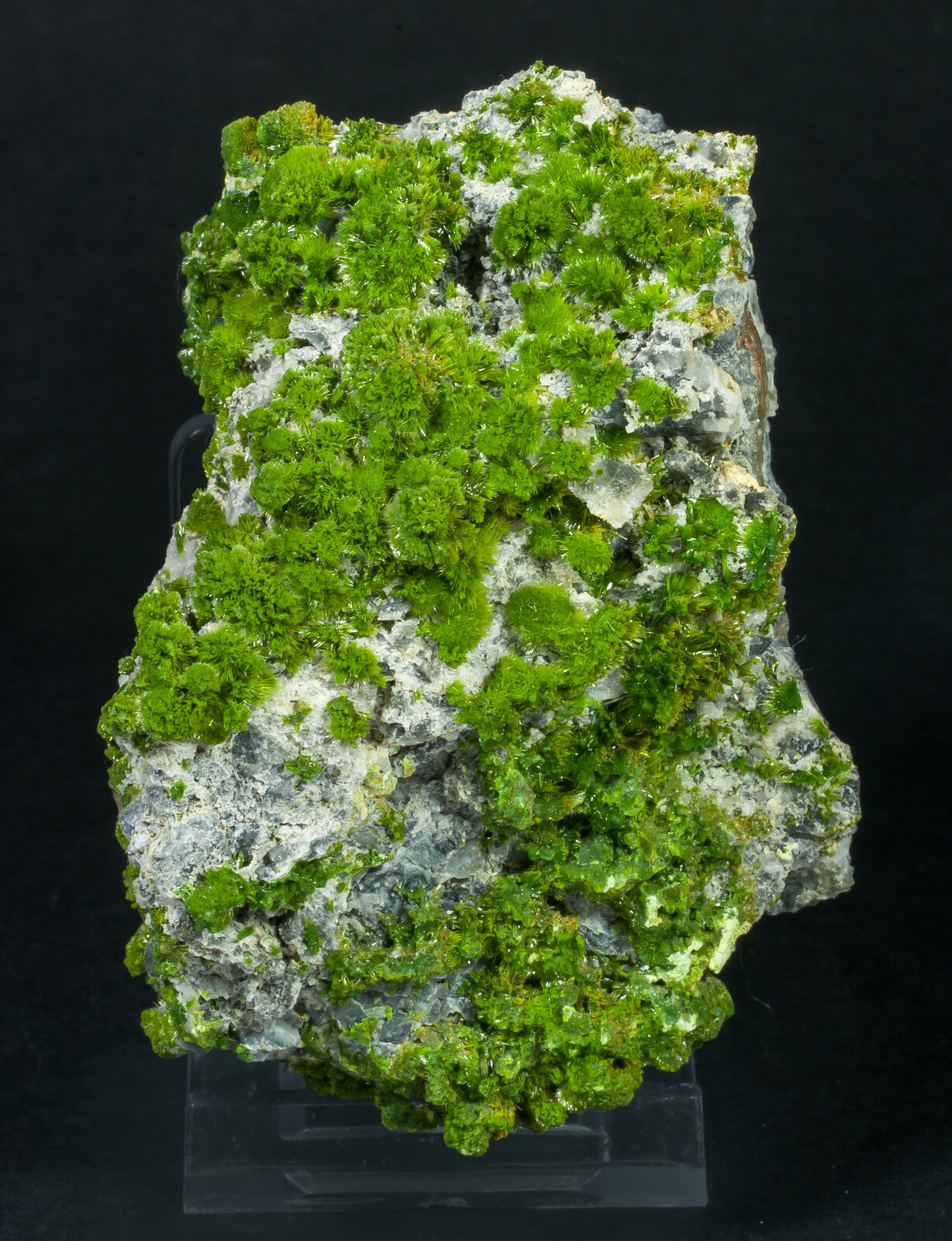 specimens/s_imagesAO8/Pyromorphite-TRB49AO8f.jpg