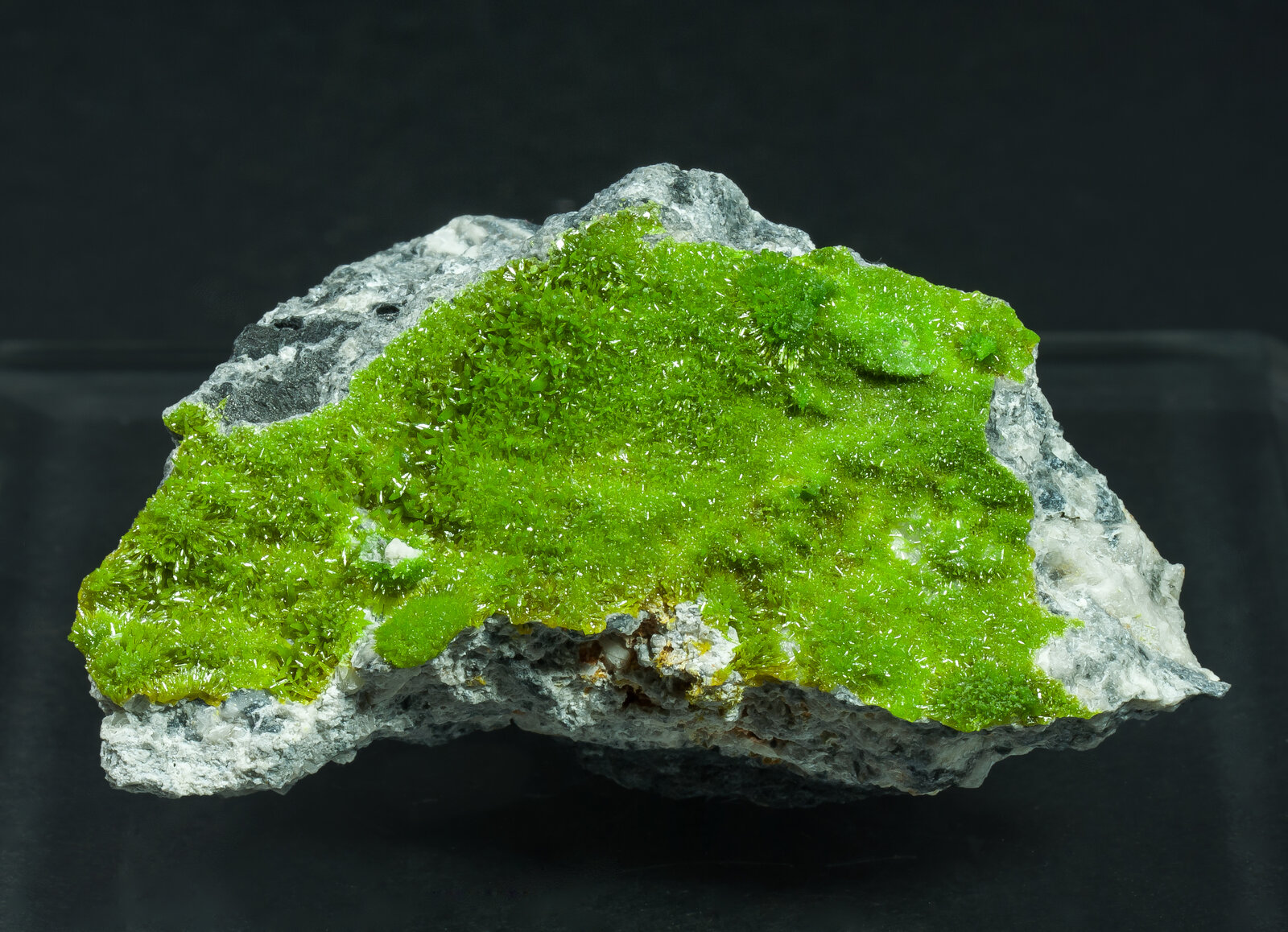 specimens/s_imagesAO8/Pyromorphite-TTR56AO8f.jpg