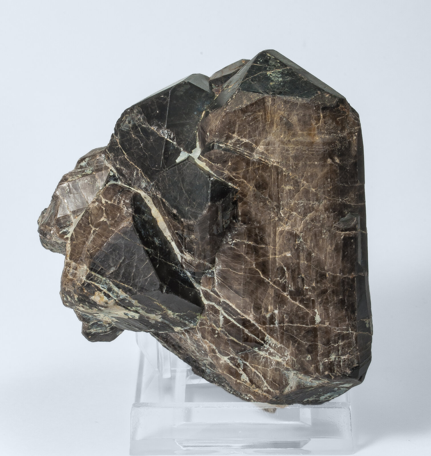 specimens/s_imagesAO9/Cassiterite-ELR66AO9f.jpg