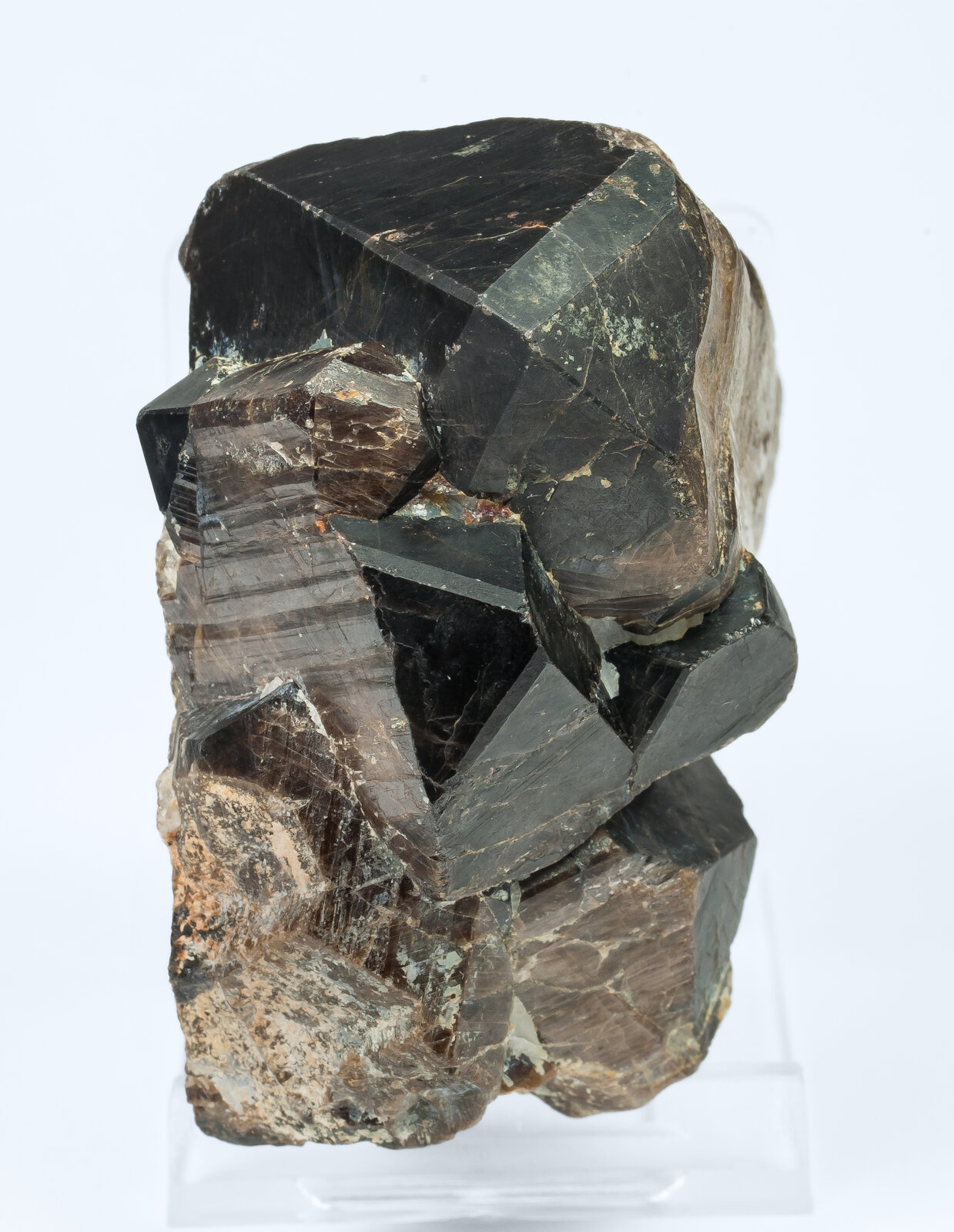 specimens/s_imagesAO9/Cassiterite-ELR66AO9t1.jpg