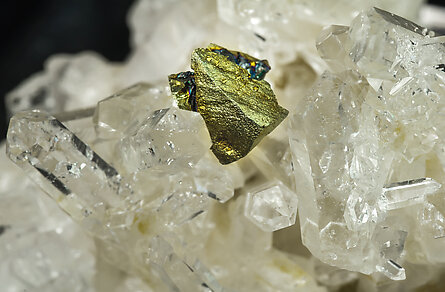 Chalcopyrite on Quartz. 