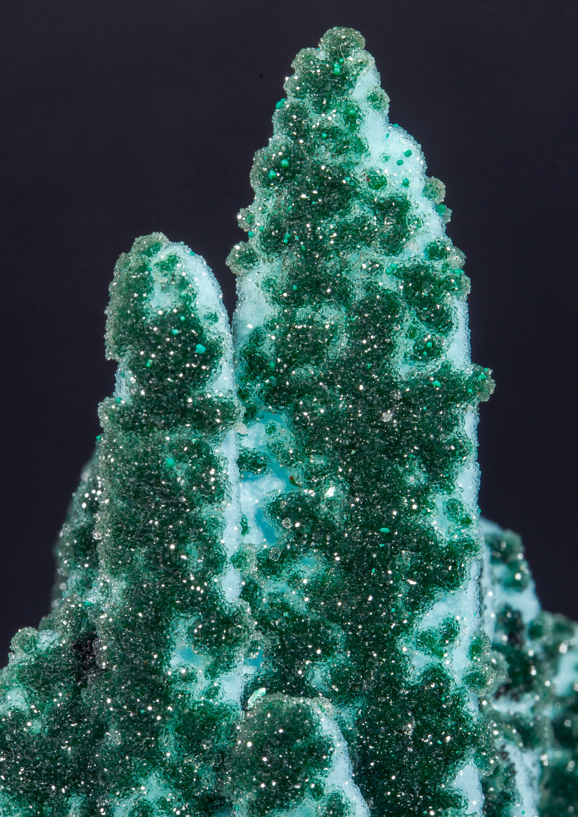 specimens/s_imagesAO9/Chrysocolla-EMP96AO9d.jpg