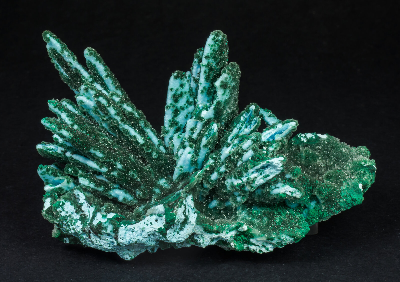 specimens/s_imagesAO9/Chrysocolla-EMP96AO9f.jpg