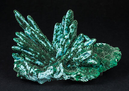 Chrysocolla after Baryte and with Malachite. Front