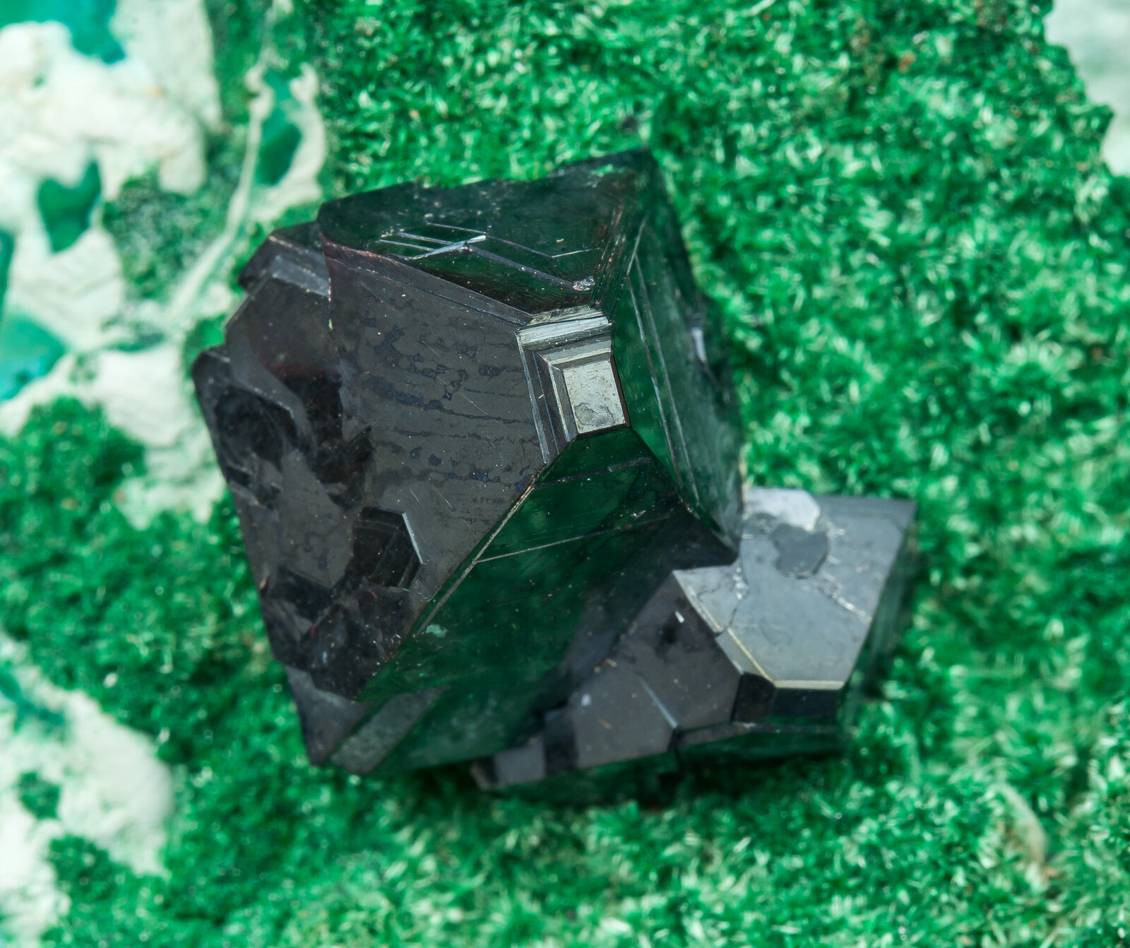 specimens/s_imagesAO9/Cuprite-EGL54AO9d.jpg