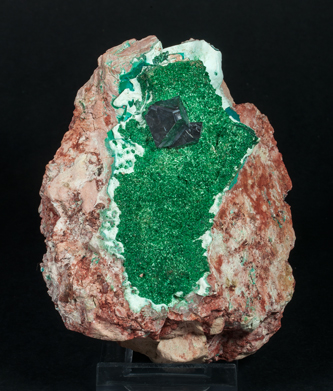 Cuprite on Malachite and Chrysocolla. 