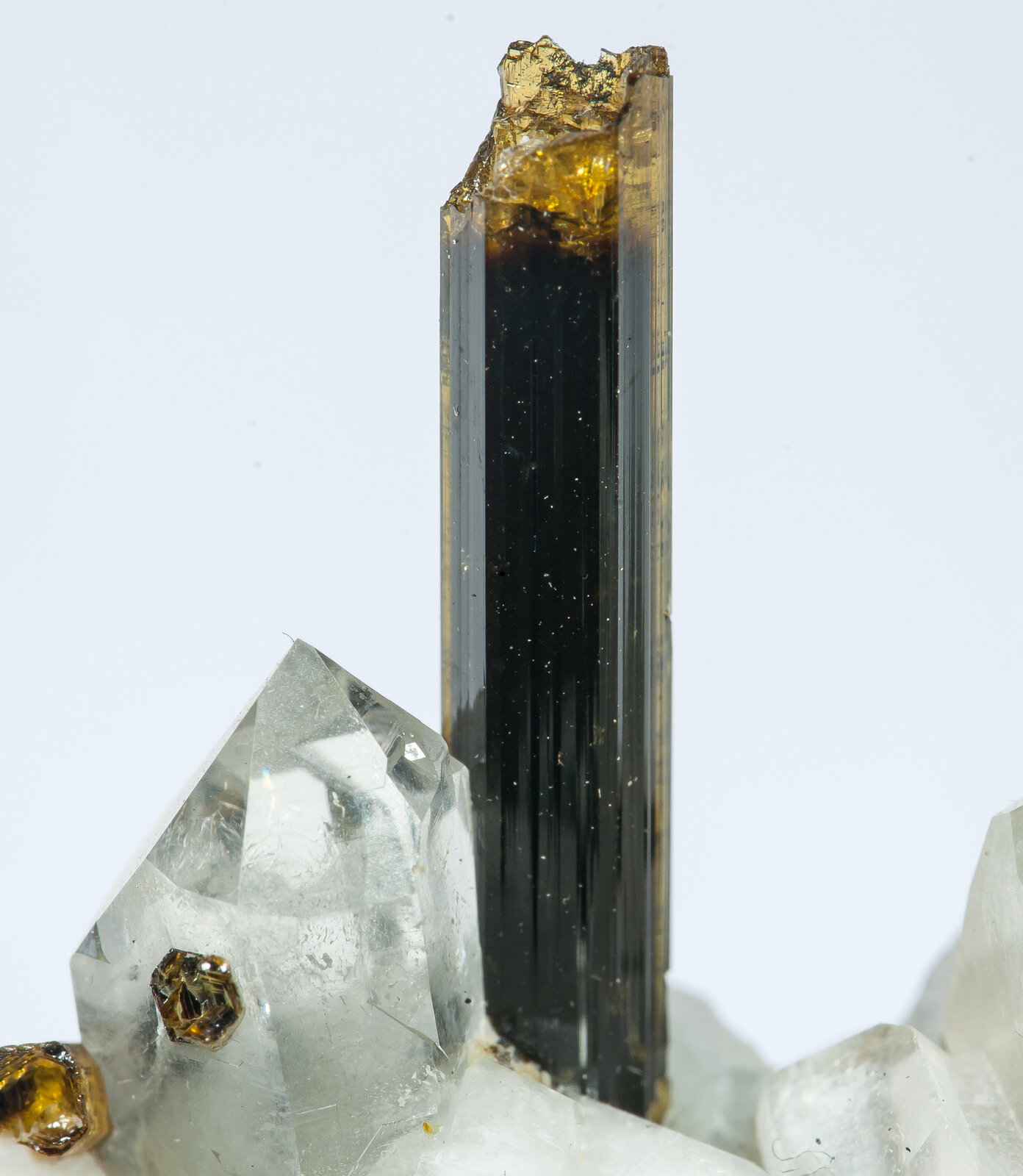 specimens/s_imagesAO9/Elbaite-ELA26AO9d.jpg