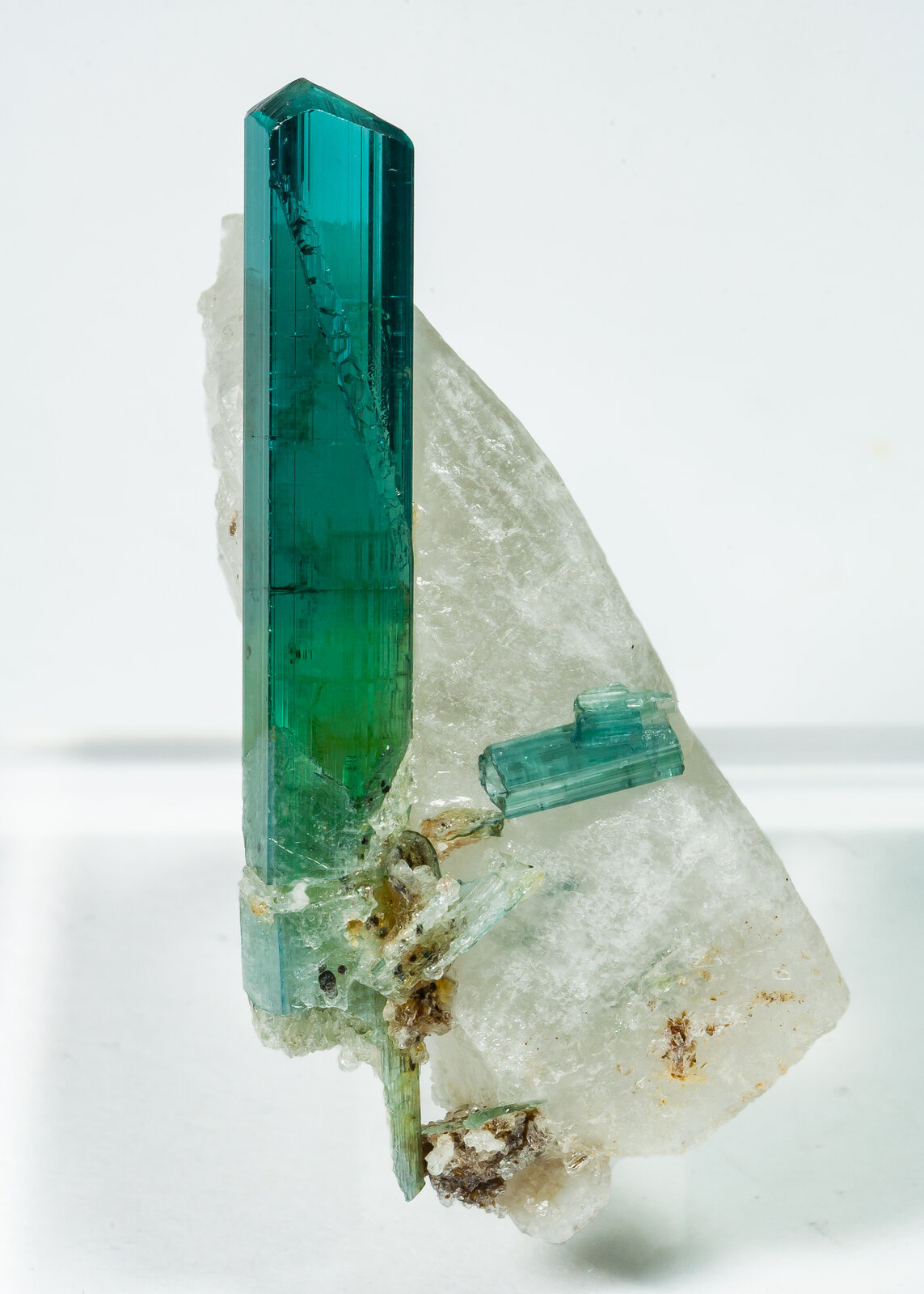 specimens/s_imagesAO9/Elbaite-EMR26AO9f.jpg