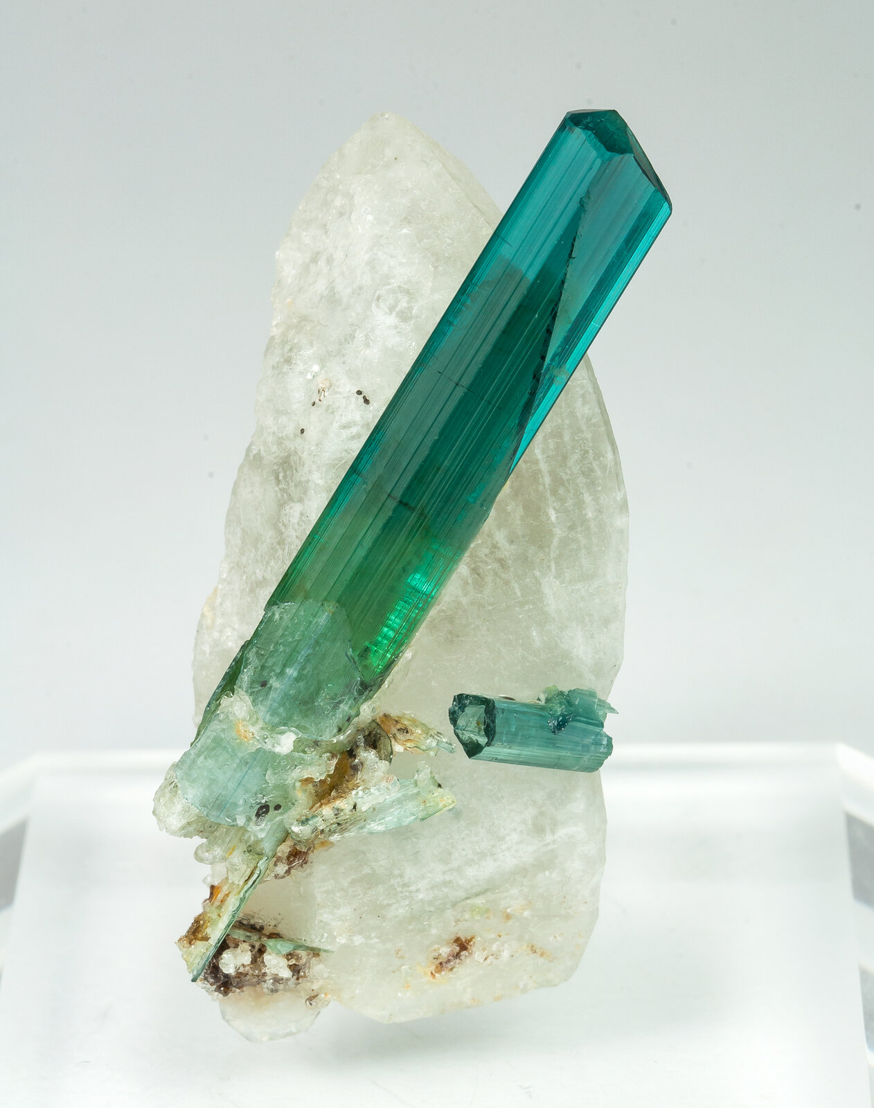 specimens/s_imagesAO9/Elbaite-EMR26AO9s.jpg