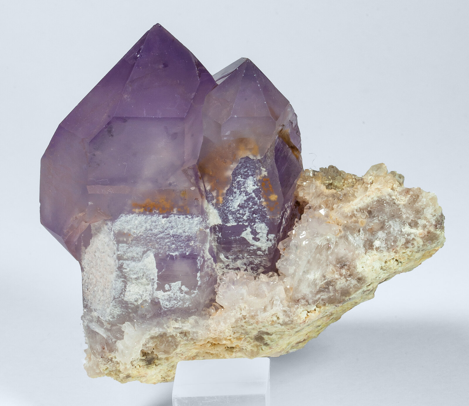 specimens/s_imagesAO9/Quartz_amethyst-EJK46AO9r.jpg