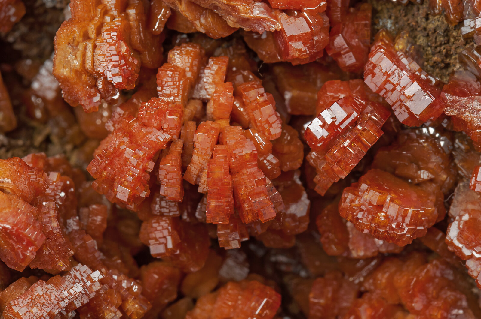 specimens/s_imagesAO9/Vanadinite-JFD171AO9d2.jpg