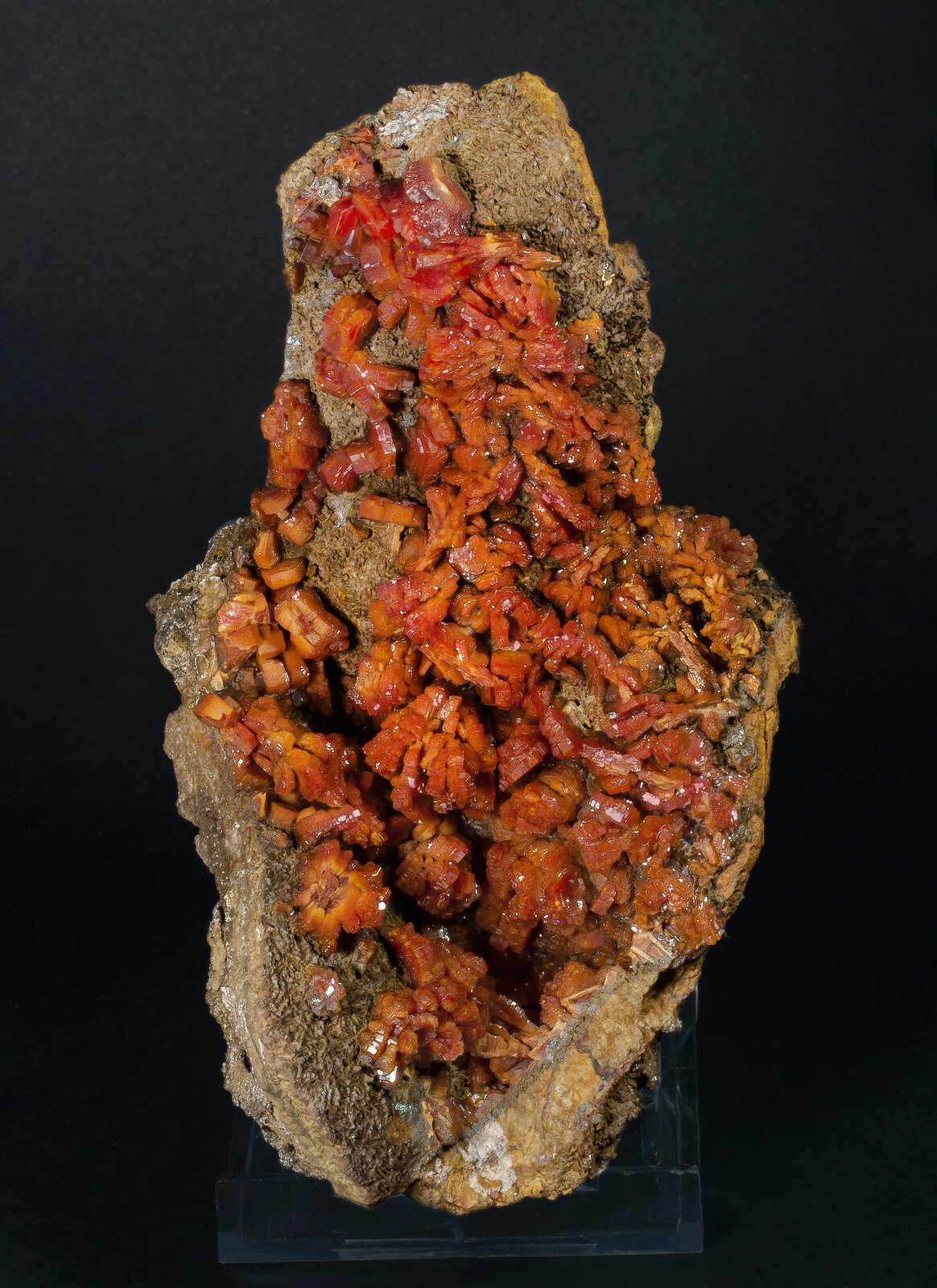 specimens/s_imagesAO9/Vanadinite-JFD171AO9f.jpg