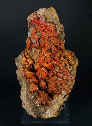 Vanadinite on Siderite.