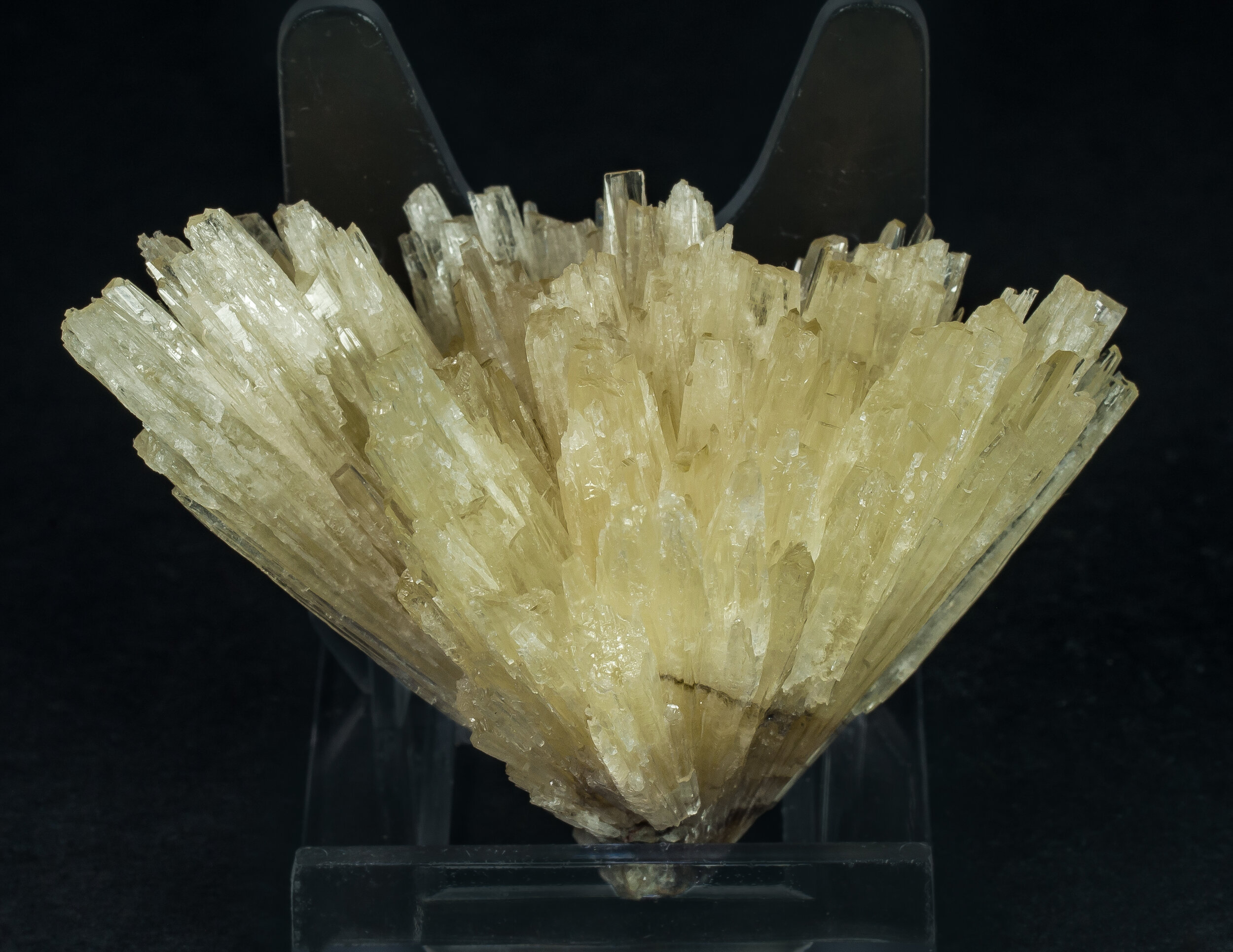 specimens/s_imagesAP0/Aragonite-EXM26AP0r.jpg