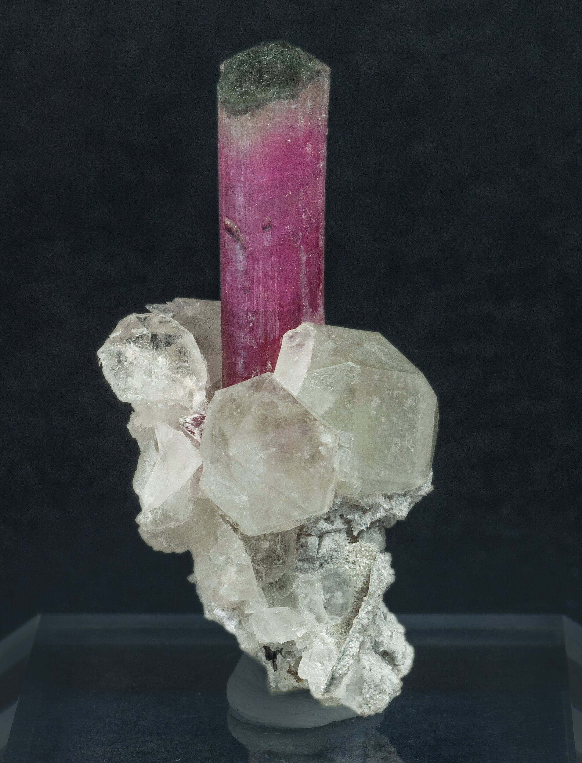 specimens/s_imagesAP0/Elbaite-Schorl_rubellite-ETF99AP0f.jpg