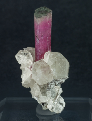 Elbaite-Schorl Series (variety rubellite) with Quartz and Microcline. Front