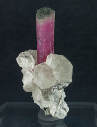 Elbaite-Schorl Series (variety rubellite) with Quartz and Microcline.