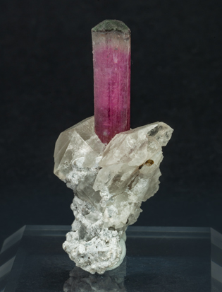 Elbaite-Schorl Series (variety rubellite) with Quartz and Microcline. Rear