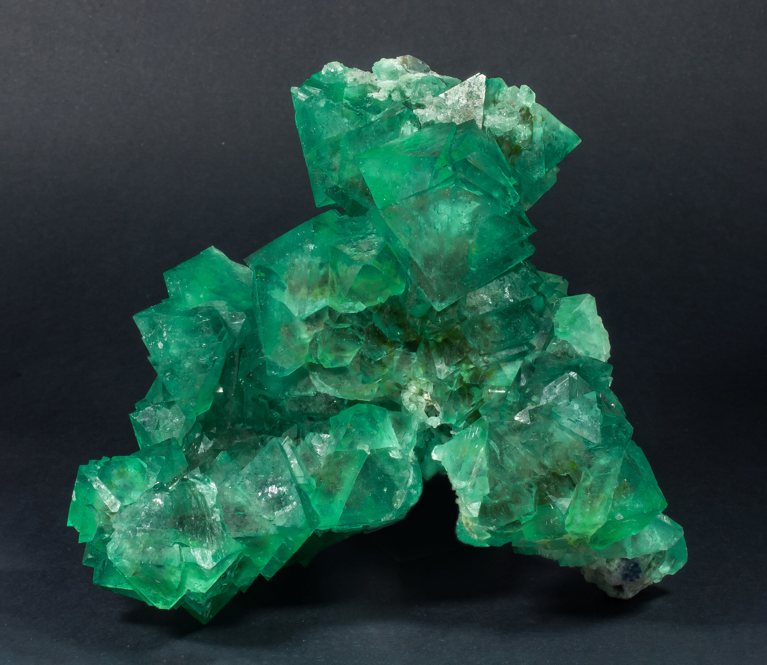 specimens/s_imagesAP0/Fluorite-EBM96AP0s.jpg