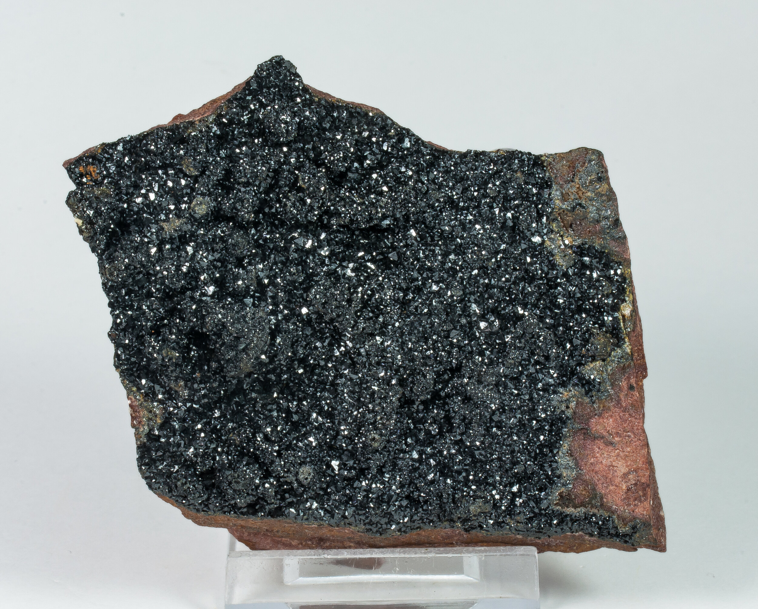 specimens/s_imagesAP0/Mottramite-JFD176AP0f.jpg