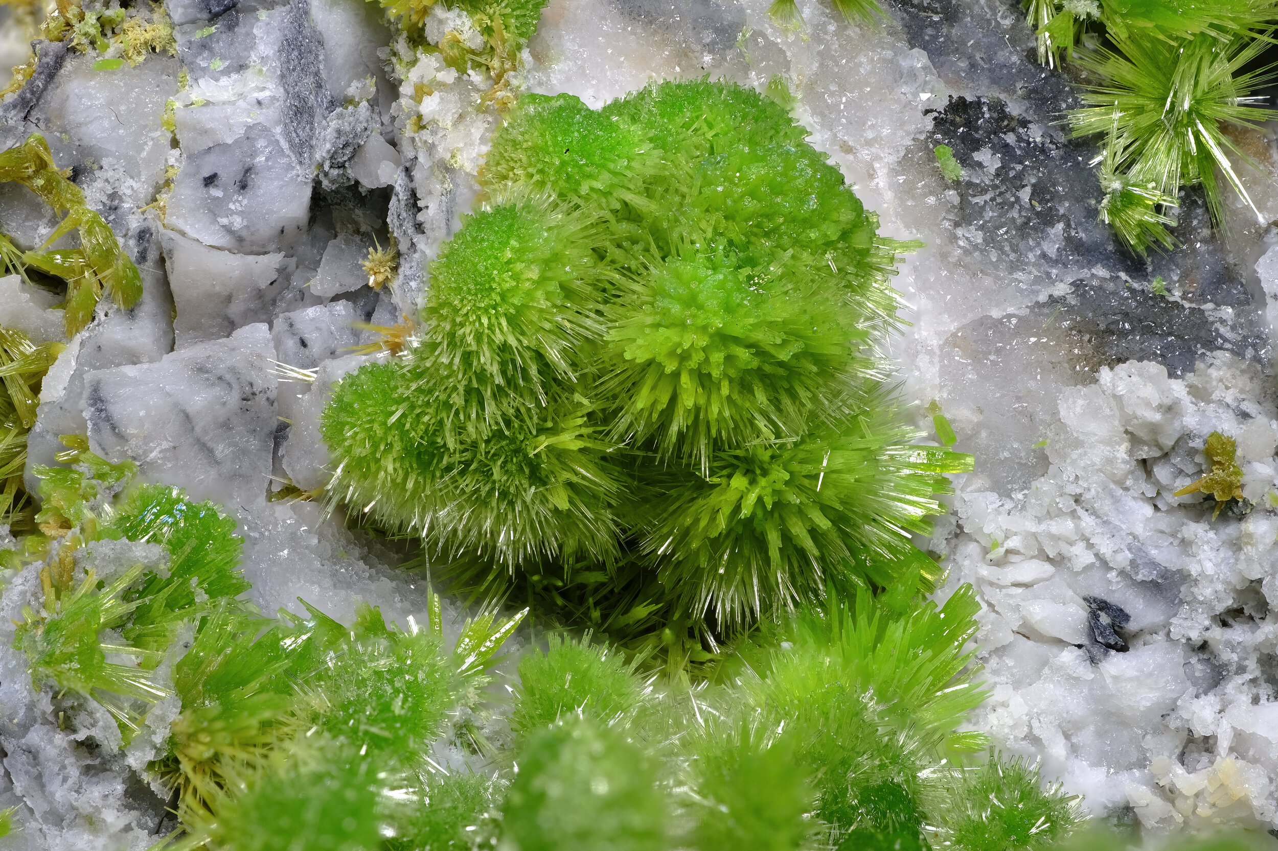 specimens/s_imagesAP0/Pyromorphite-EMV51AP0_4356_d.jpg