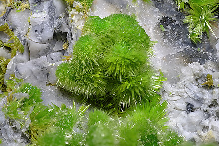 Pyromorphite. Detail / Foto: Joaquim Calln