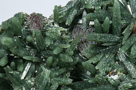 Quartz (variety prase) with Hematite (variety iron rose). 