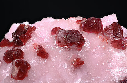 Roselite on Calcite. Detail / Photo: Joaquim Calln