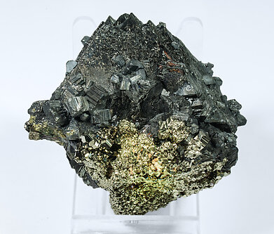 Sphalerite with Bournonite and Pyrite. Rear