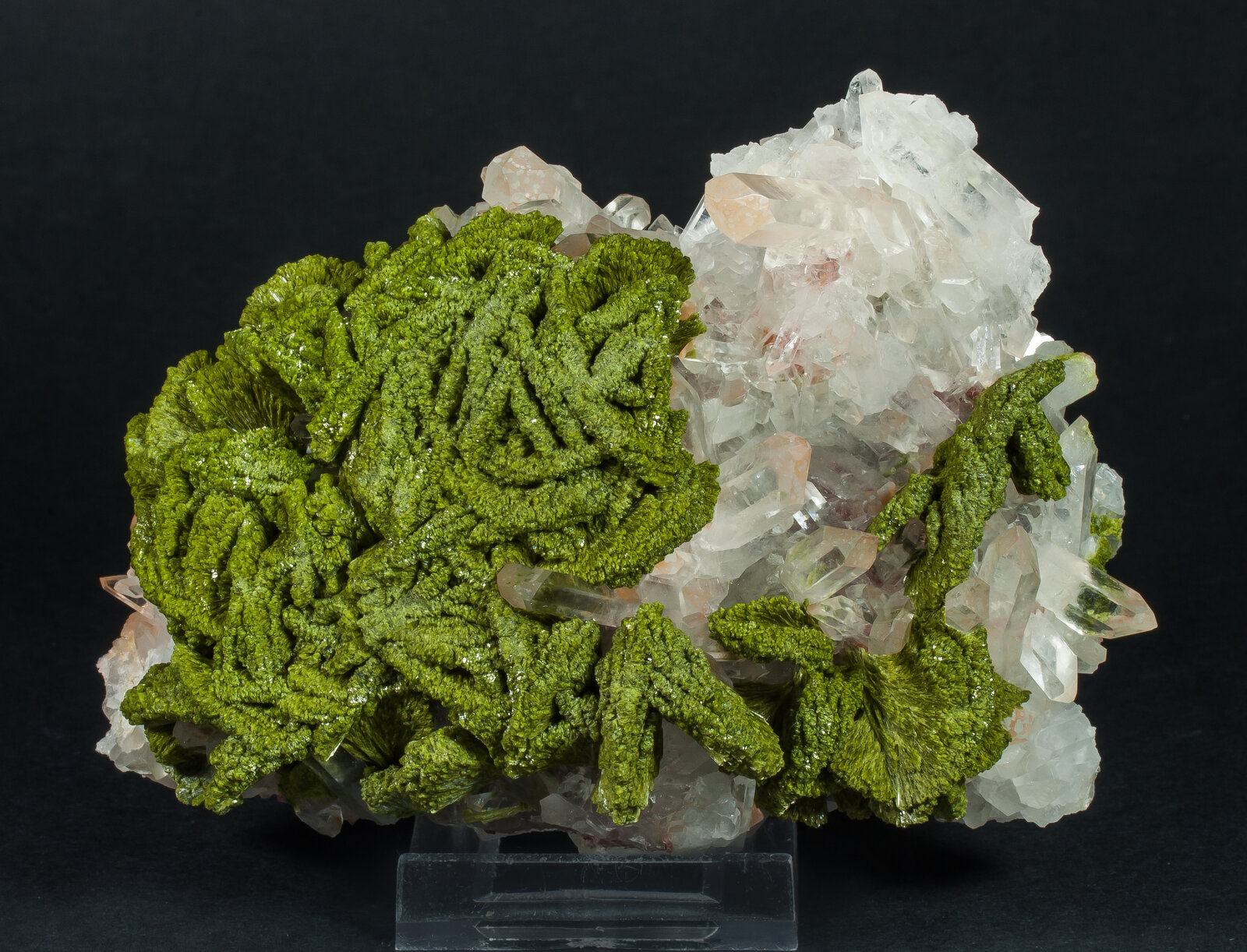 specimens/s_imagesAP1/Epidote-EBR70AP1f.jpg