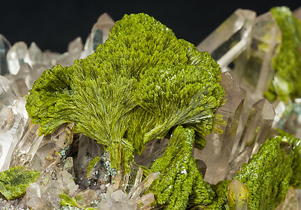 Epidote with Quartz. 