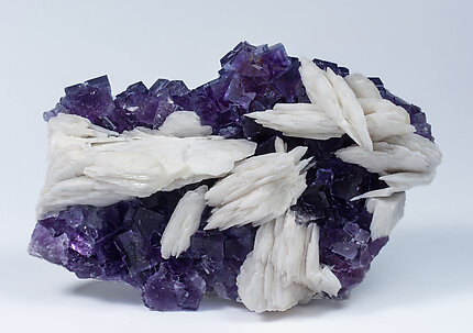 Fluorite with Baryte. Front