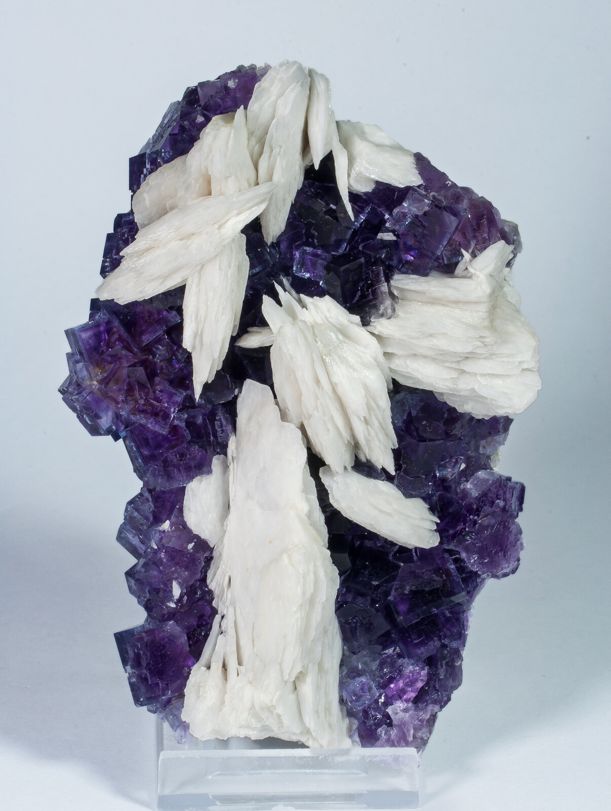 specimens/s_imagesAP1/Fluorite-ELB68AP1s.jpg