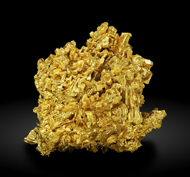 Gold. Front / Photo: Joaquim Callén