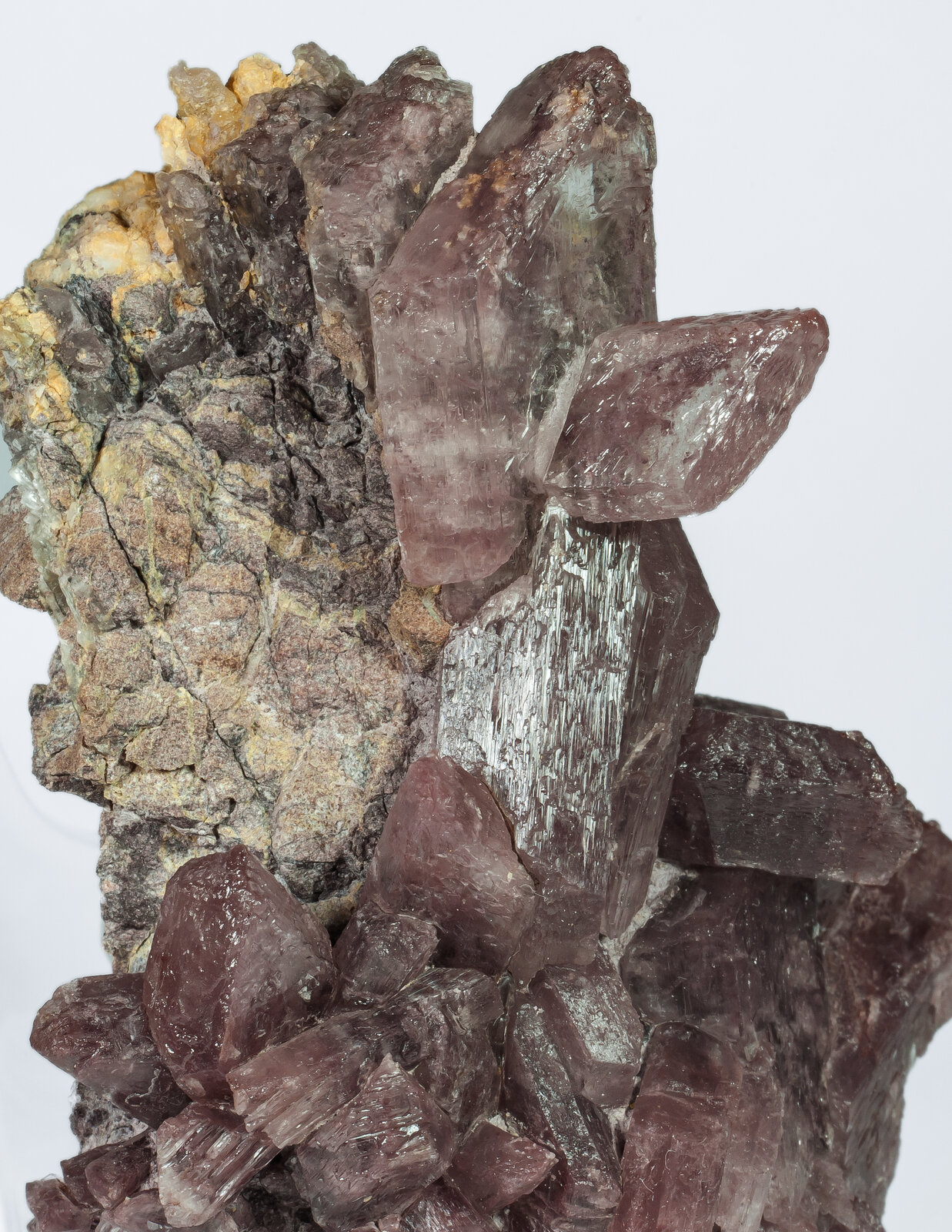 specimens/s_imagesAP1/Gypsum-JFD179AP1d.jpg