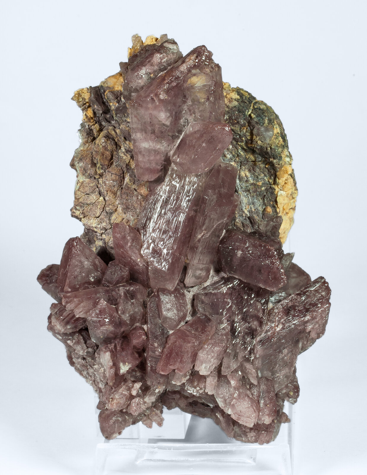 specimens/s_imagesAP1/Gypsum-JFD179AP1f.jpg